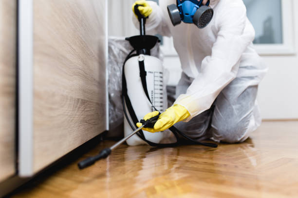 Best Pest Prevention Services  in Decordova, TX