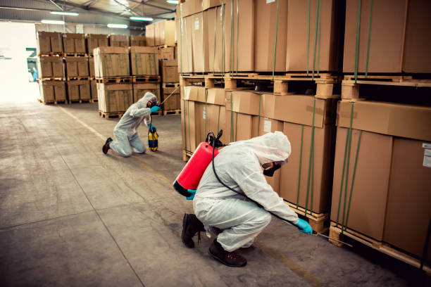 Best Wasp Removal Services  in Decordova, TX