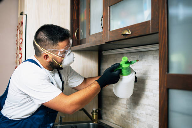 Best Bed Bug Extermination  in Decordova, TX