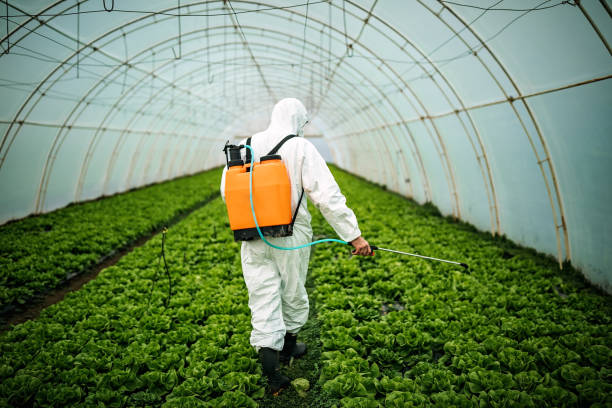 Best Pest Prevention Services  in Decordova, TX