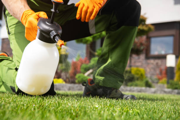 Best Local Pest Control Services  in Decordova, TX