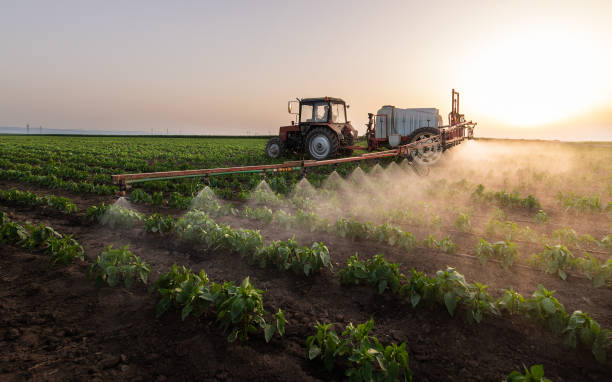 Best Best Pest Control Companies  in Decordova, TX