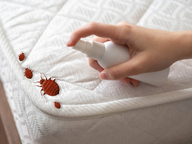 Best Affordable Pest Control Services  in Decordova, TX