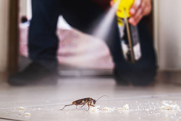 Pest Prevention Services in Decordova, TX