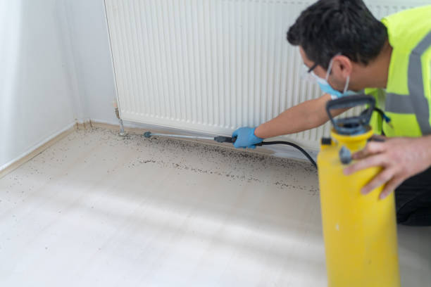 Best Termite Control Services  in Decordova, TX