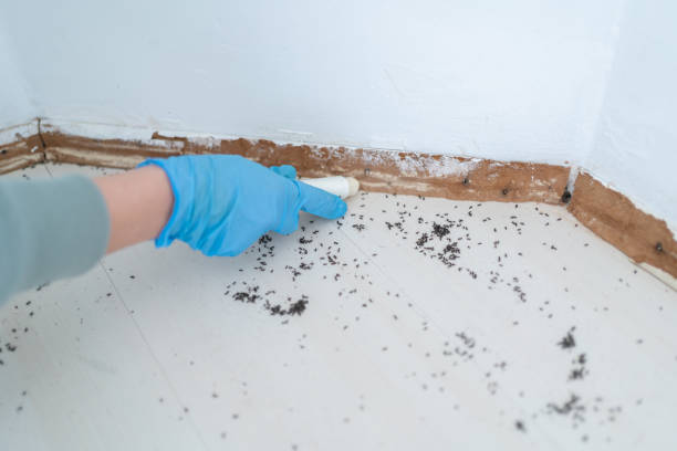 Best Wildlife Control Services  in Decordova, TX