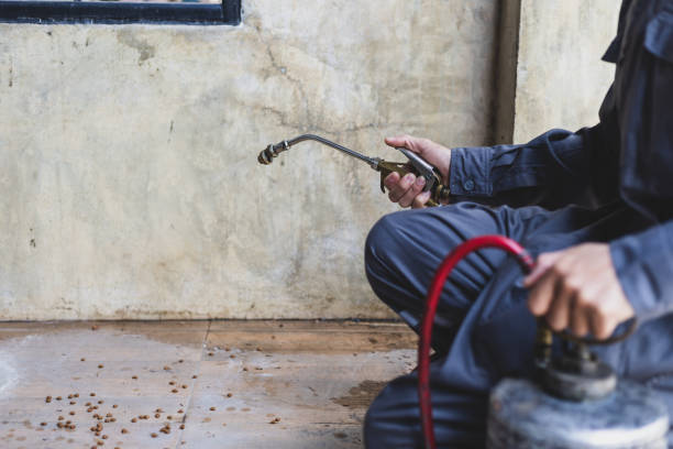 Professional Pest Control in Decordova, TX